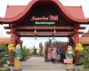 Harga Tiket Masuk dan Alamat Sunrise Hill Gedong Songo, Destinasi Wisata Apik dengan View Instagenic