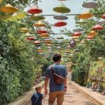 Harga Tiket Masuk dan Lokasi D Kandang Amazing Farm Depok, Wisata Edukasi dengan Banyak Spot Foto Selfie