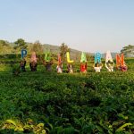 Harga Tiket Masuk dan Rute Menuju Kebun Teh Pagilaran Pekalongan, Agrowisata Dengan Sejuta Keindahannya
