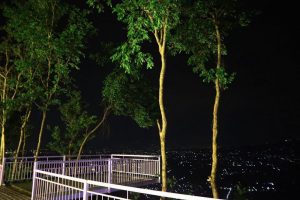 Jam Buka dan Lokasi De Mangol Jogja, Cafe Kekinian Dengan Suguhan View Yang Menawan