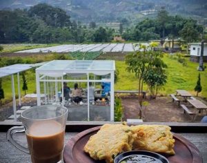 Harga Menu dan Lokasi Kaki Bumi Coffee & Eatery Temanggung, Tempat Nongkrong Asyik dengan Berlatar Alam Cantik