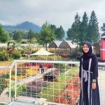 Harga Tiket Masuk Dan Alamat Taman Anggrek Tegal, Tempat Wisata Terbaru Dengan Spot Selfie Yang Siap Diburu