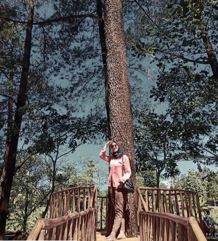 Hutan Desa Setianegara - 46 Tempat Wisata Di Kuningan Jawa ...