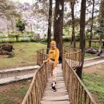 Harga Tiket Masuk dan Alamat Woodland Kuningan, Destinasi Wisata Dengan Suguhan View Pinus