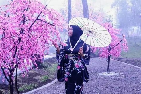 Rute dan Harga Tiket Masuk Sakura Hills Tawangmangu, Destinasi Wisata Instagramable Ala Negeri Sakura