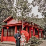 Rute dan Harga Tiket Masuk Sakura Hills Tawangmangu, Destinasi Wisata Instagramable Ala Negeri Sakura