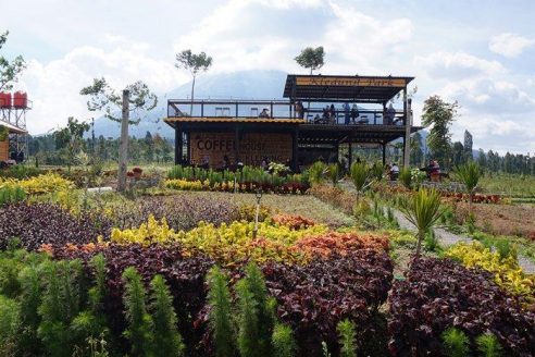 Harga Menu dan Alamat Kledung Park Sindoro Coffee House, Serunya Nyeruput Kopi Ditemani Megahnya 2 Gunung