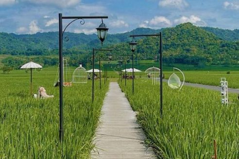 Jam Buka dan Harga Tiket Masuk Mahaloka Paradise Kulon Progo, Tempat Nongkrong Serung dengan View Pematang Sawah