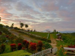 Jam Buka dan Harga Tilet Masuk Kebun Madu Efi Berastagi Sumut, Destinasi Wisata Edukasi Yang Siap Untuk Dikunjungi