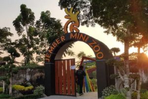 Harga Tiket Masuk dan Lokasi Jember Mini Zoo, Wisata Edukasi dengan Sejuta Wahana
