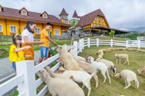 Jam Buka dan Lokasi Cepogo Cheese Park Boyolali, Destinasi Wisata Hits Yang Menyuguhkan Konsep Unik