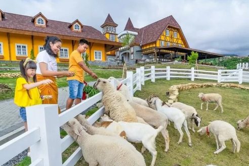 Jam Buka dan Lokasi Cepogo Cheese Park Boyolali, Destinasi Wisata Hits Yang Menyuguhkan Konsep Unik